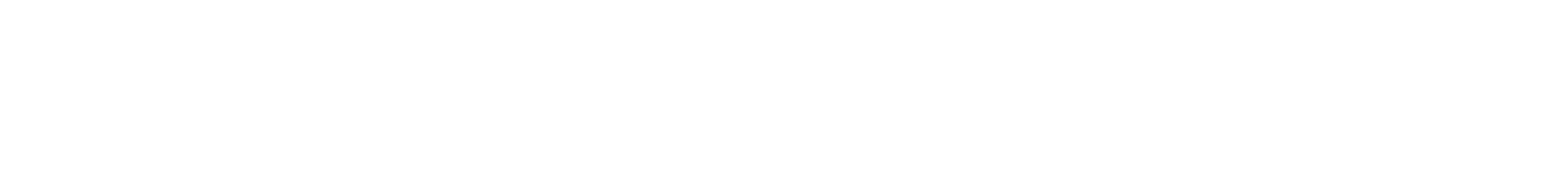 Portfolio 2026